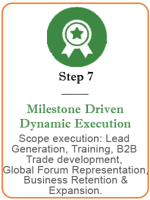 teamindiaglobal milestone-driven-dynamic-execution